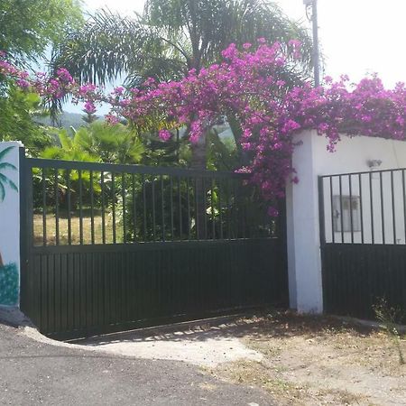 Finca Las Palmeras Icod De Los Vinos Buitenkant foto