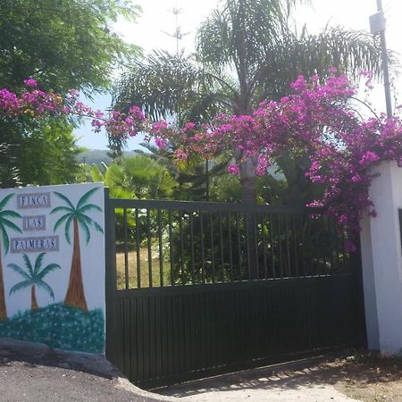 Finca Las Palmeras Icod De Los Vinos Buitenkant foto