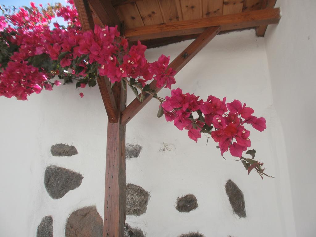 Finca Las Palmeras Icod De Los Vinos Buitenkant foto
