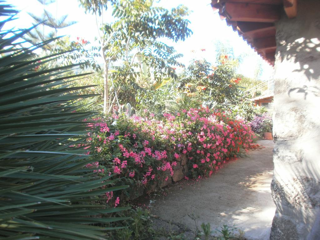 Finca Las Palmeras Icod De Los Vinos Buitenkant foto