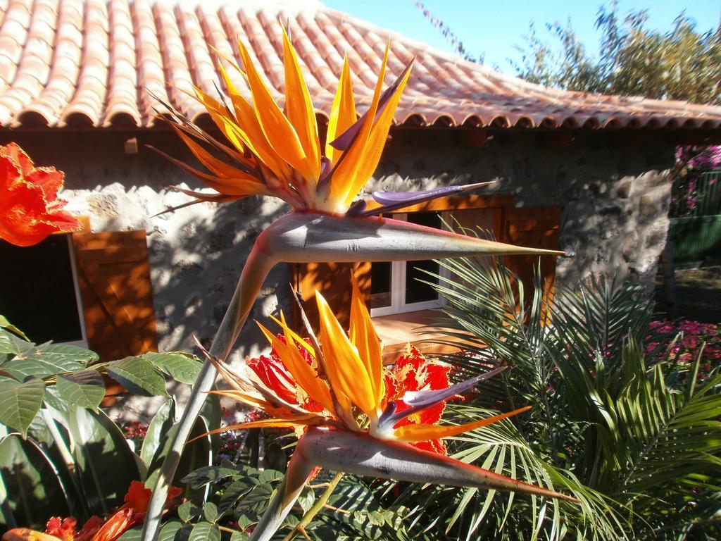 Finca Las Palmeras Icod De Los Vinos Buitenkant foto