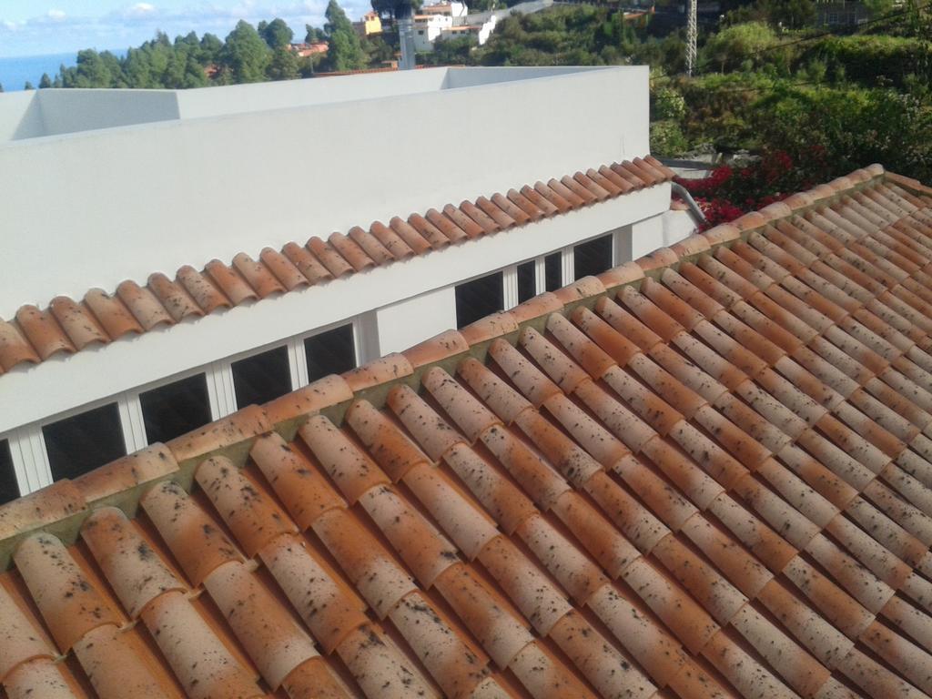 Finca Las Palmeras Icod De Los Vinos Kamer foto