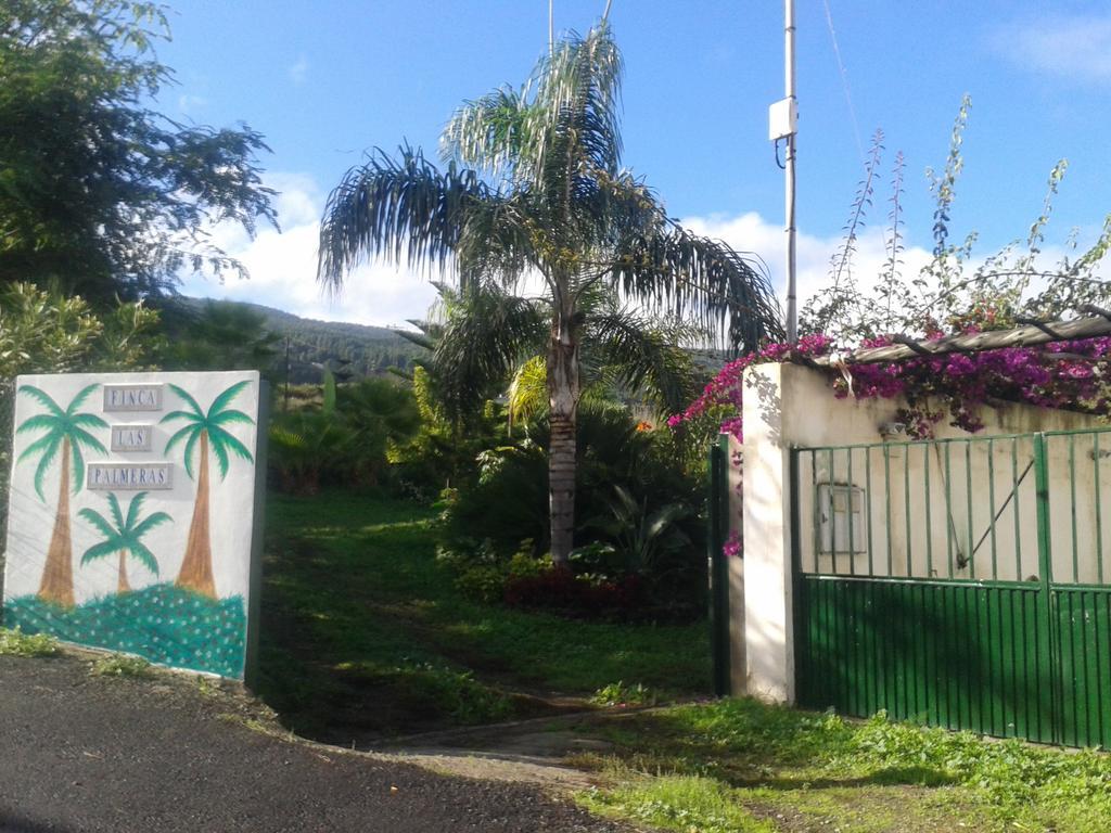 Finca Las Palmeras Icod De Los Vinos Buitenkant foto