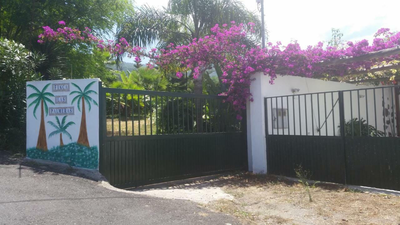 Finca Las Palmeras Icod De Los Vinos Buitenkant foto