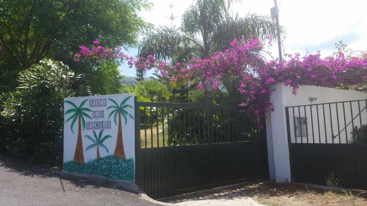 Finca Las Palmeras Icod De Los Vinos Buitenkant foto